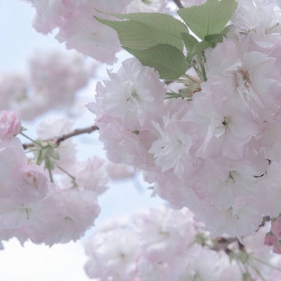 Furry绘画动态技巧FurryQQ群